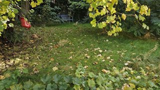 casafari-bild