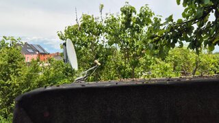 casafari-bild