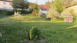 casafari-bild