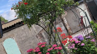 casafari-bild