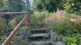 casafari-bild