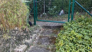 casafari-bild