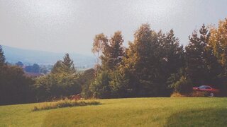Alttag
