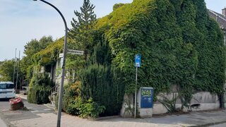 casafari-bild
