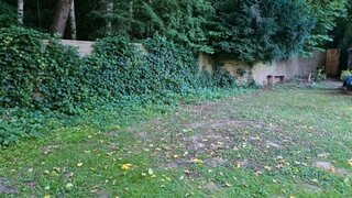 casafari-bild