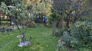 casafari-bild