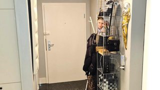 casafari-bild