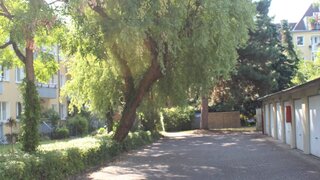casafari-bild