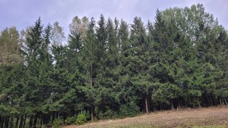 Alttag