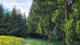 casafari-bild