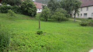 Alttag