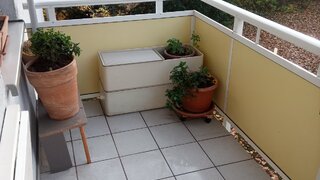 casafari-bild