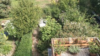 casafari-bild