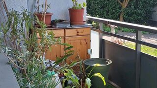 casafari-bild