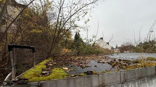 casafari-bild