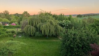 casafari-bild