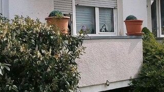 Alttag