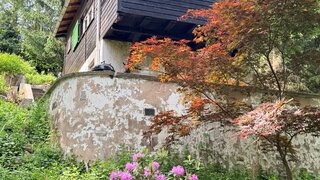 casafari-bild