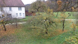 casafari-bild