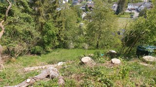 casafari-bild