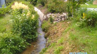 casafari-bild