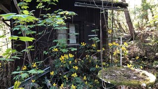 casafari-bild