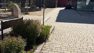 casafari-bild
