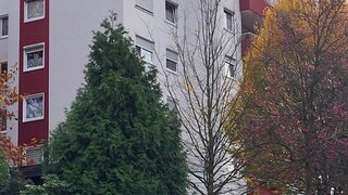 casafari-bild
