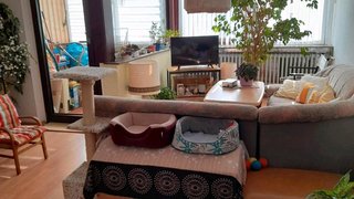 casafari-bild