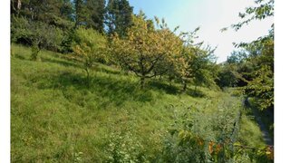 casafari-bild