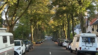 casafari-bild