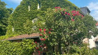 casafari-img