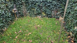 casafari-bild