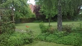 casafari-bild