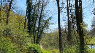 casafari-bild