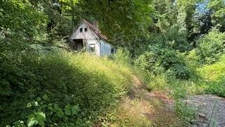 casafari-bild