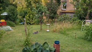 casafari-bild