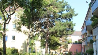 casafari-bild