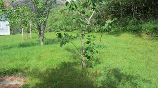 casafari-bild