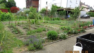 casafari-bild