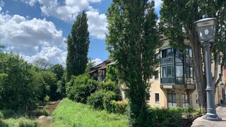 casafari-bild