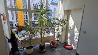 casafari-bild