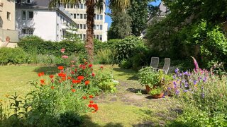 casafari-bild