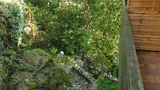 casafari-bild