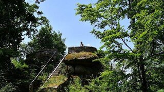 casafari-bild