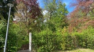 casafari-bild