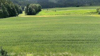 Alttag