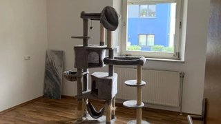 casafari-bild