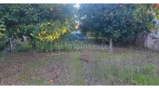 Land for sale in Castelo Branco, Portugal — €70,000