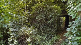 casafari-bild